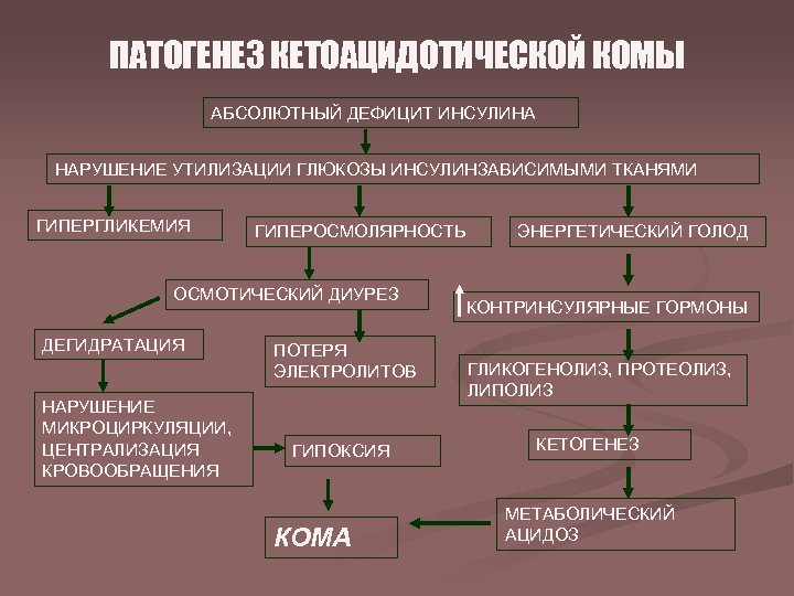 ПАТОГЕНЕЗ КЕТОАЦИДОТИЧЕСКОЙ КОМЫ АБСОЛЮТНЫЙ ДЕФИЦИТ ИНСУЛИНА НАРУШЕНИЕ УТИЛИЗАЦИИ ГЛЮКОЗЫ ИНСУЛИНЗАВИСИМЫМИ ТКАНЯМИ ГИПЕРГЛИКЕМИЯ ГИПЕРОСМОЛЯРНОСТЬ ОСМОТИЧЕСКИЙ