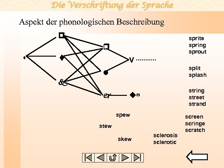 Die Verschriftung der Sprache Aspekt der phonologischen Beschreibung p sprite spring sprout r s