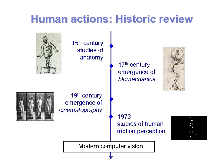 Human actions: Historic review 15 th century studies of anatomy 19 th century emergence