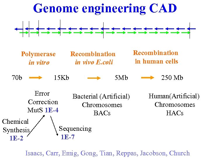 Genome engineering CAD Polymerase in vitro Recombination in vivo E. coli 70 b 15