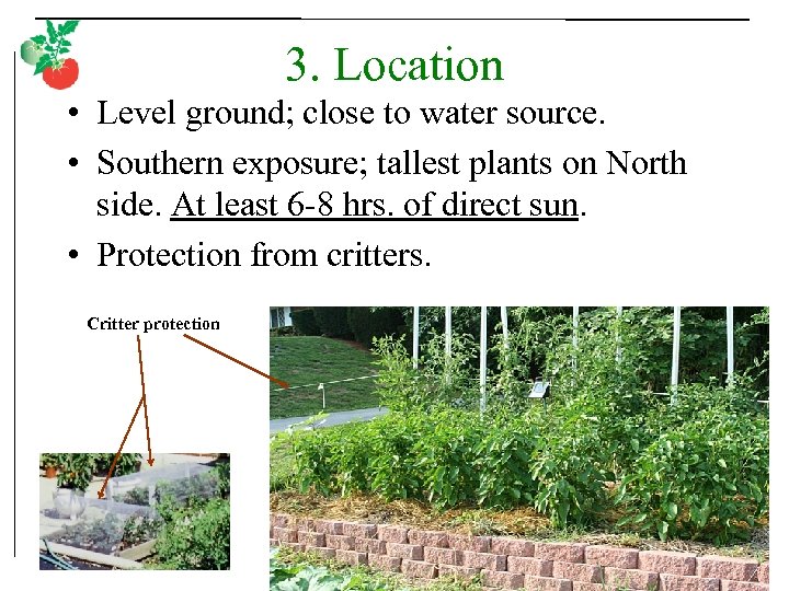 3. Location • Level ground; close to water source. • Southern exposure; tallest plants