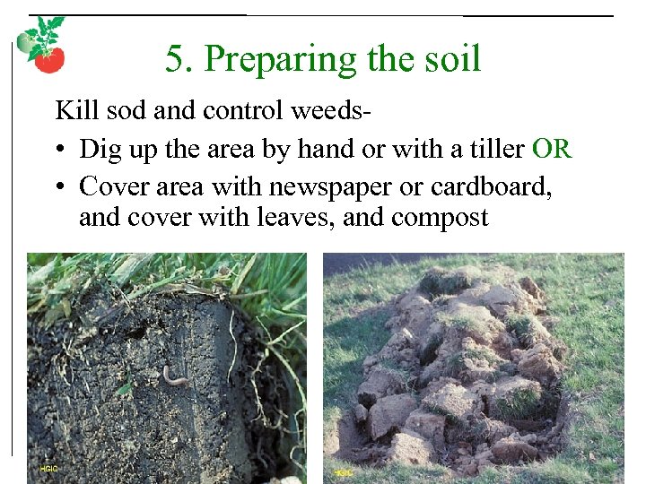 5. Preparing the soil Kill sod and control weeds • Dig up the area