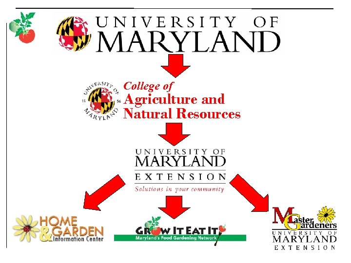 College of Agriculture and Natural Resources 