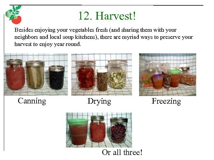12. Harvest! Besides enjoying your vegetables fresh (and sharing them with your neighbors and