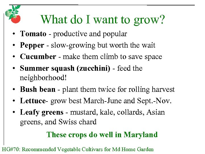 What do I want to grow? • • Tomato - productive and popular Pepper