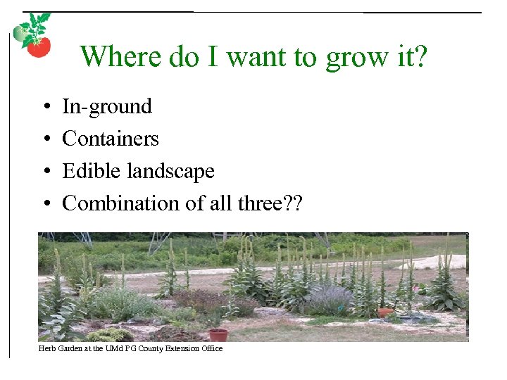 Where do I want to grow it? • • In-ground Containers Edible landscape Combination