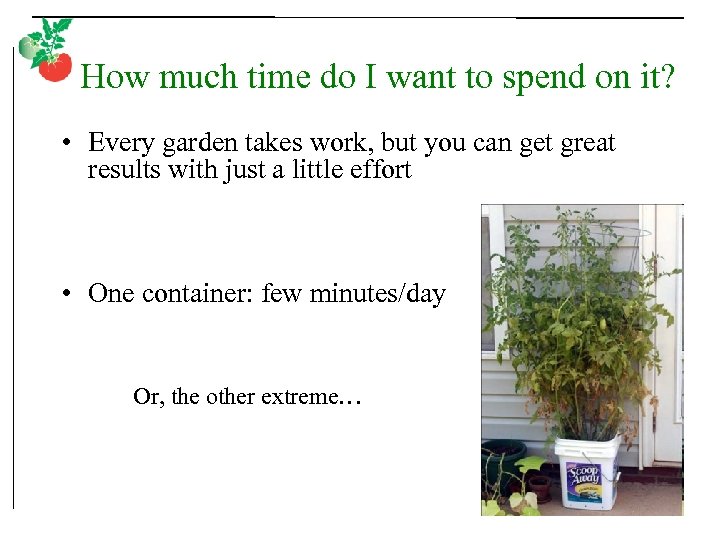 How much time do I want to spend on it? • Every garden takes
