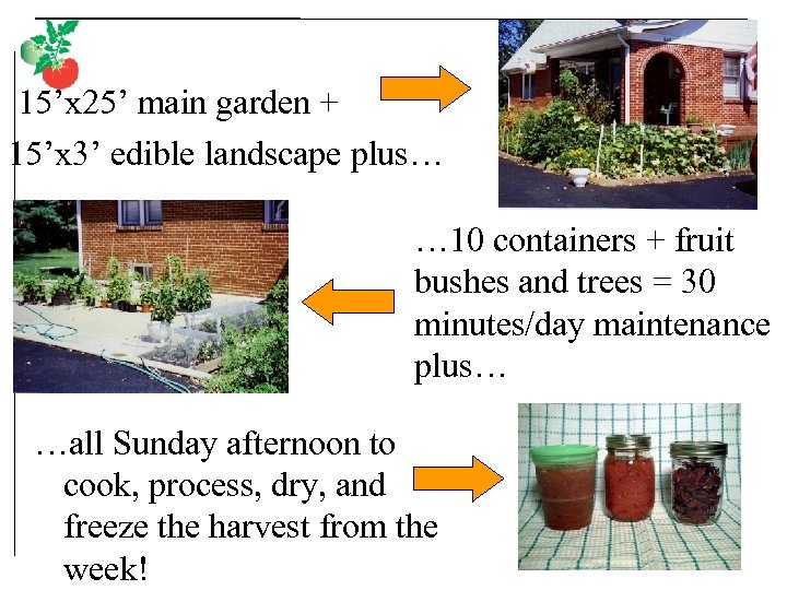 15’x 25’ main garden + 15’x 3’ edible landscape plus… … 10 containers +