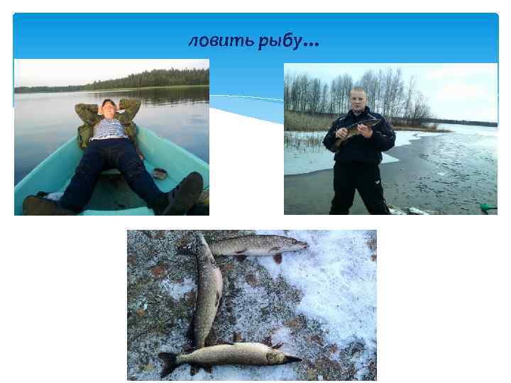 ловить рыбу… 