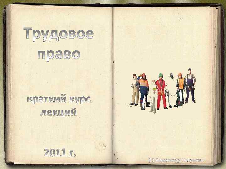 (С) Александр Петренко 