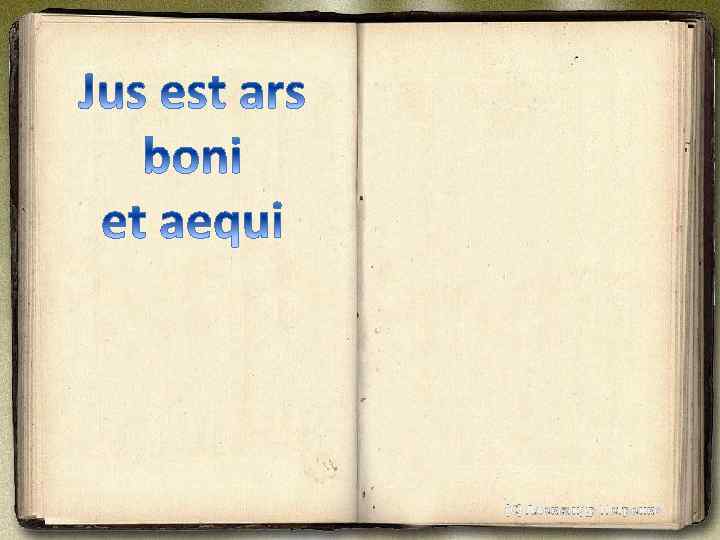 (С) Александр Петренко 