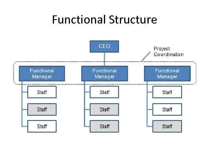 Functional Structure 