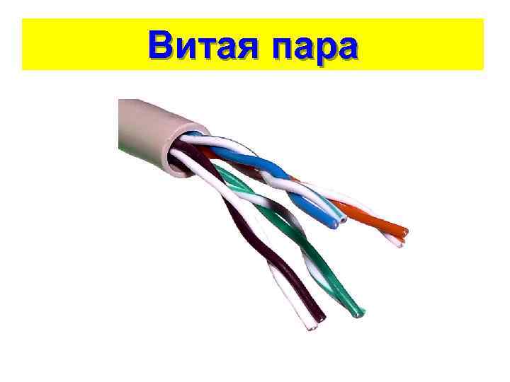 Витая пара 