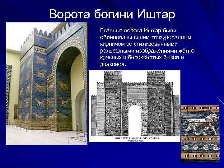 Ворота богини Иштар Главные ворота Иштар были облицованы синим глазурованным кирпичом со стилизованными рельефными