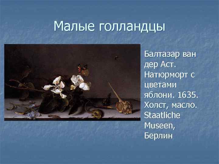 Малые голландцы n Балтазар ван дер Аст. Натюрморт с цветами яблони. 1635. Холст, масло.