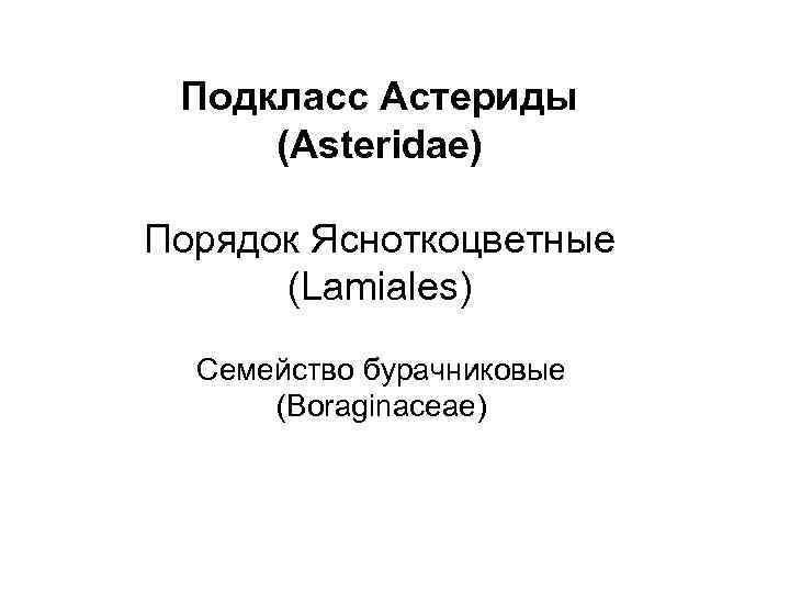 Подкласс Астериды (Asteridae) Порядок Ясноткоцветные (Lamiales) Семейство бурачниковые (Boraginaceae) 