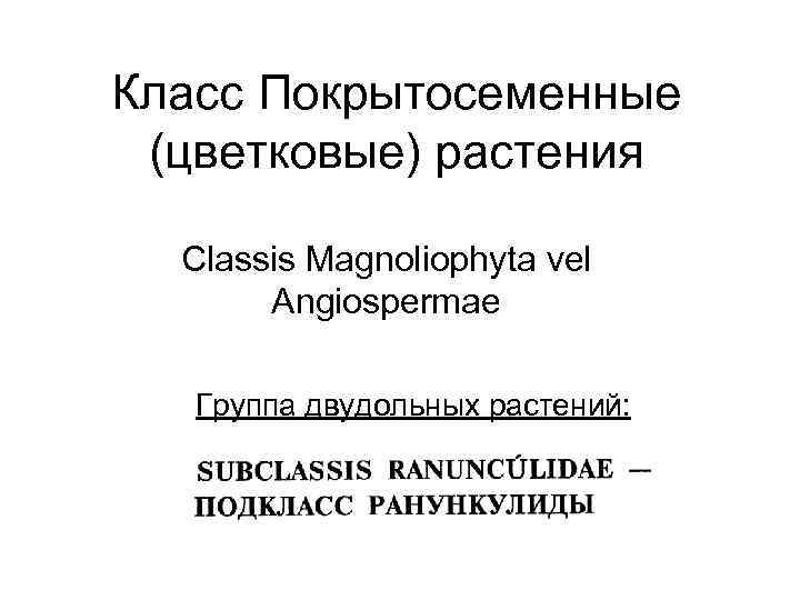 Класс Покрытосеменные (цветковые) растения Classis Magnoliophyta vel Angiospermae Группа двудольных растений: 