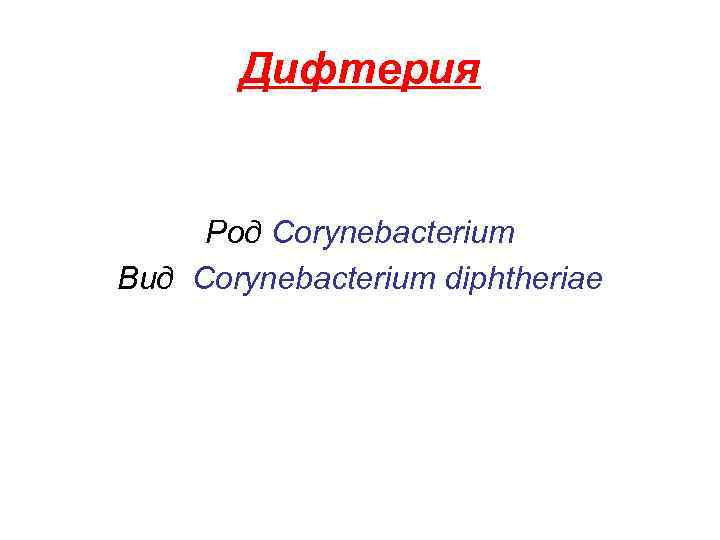 Дифтерия Род Corynebacterium Вид Corynebacterium diphtheriae 