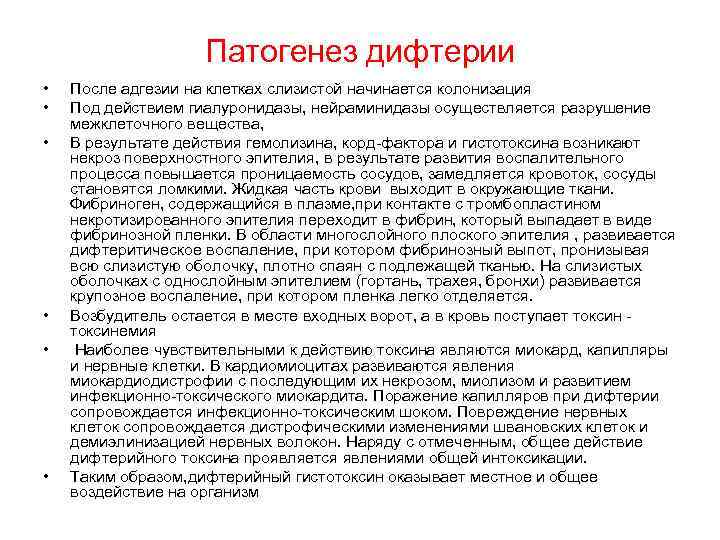 Патогенез дифтерии • • • После адгезии на клетках слизистой начинается колонизация Под действием