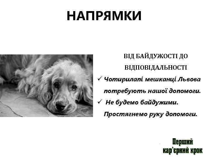 НАПРЯМКИ ВІД БАЙДУЖОСТІ ДО ВІДПОВІДАЛЬНОCТІ ü Чотирилапі мешканці Львова потребують нашої допомоги. ü Не