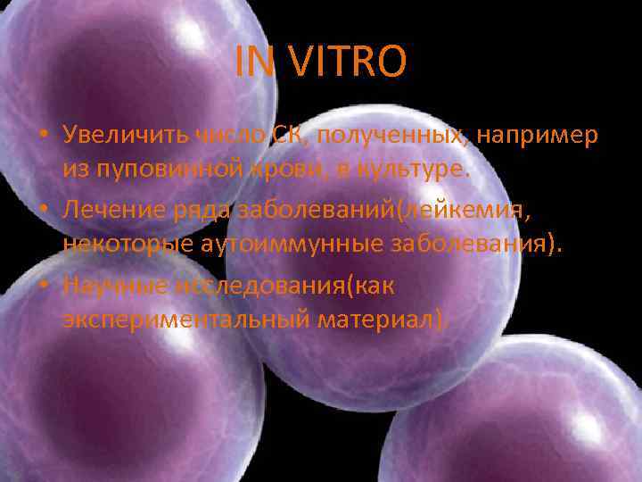 IN VITRO • Увеличить число СК, полученных, например из пуповинной крови, в культуре. •