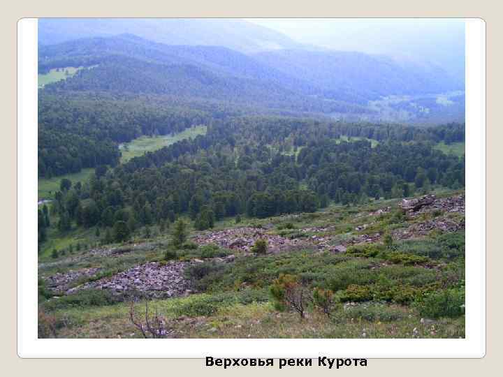 Верховья реки Курота 