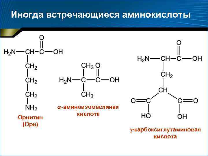 Иногда встречающиеся аминокислоты Орнитин (Орн) -аминоизомасляная кислота -карбоксиглутаминовая кислота 