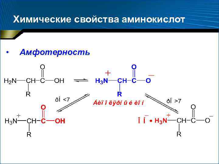 Химические свойства аминокислот • Амфотерность 