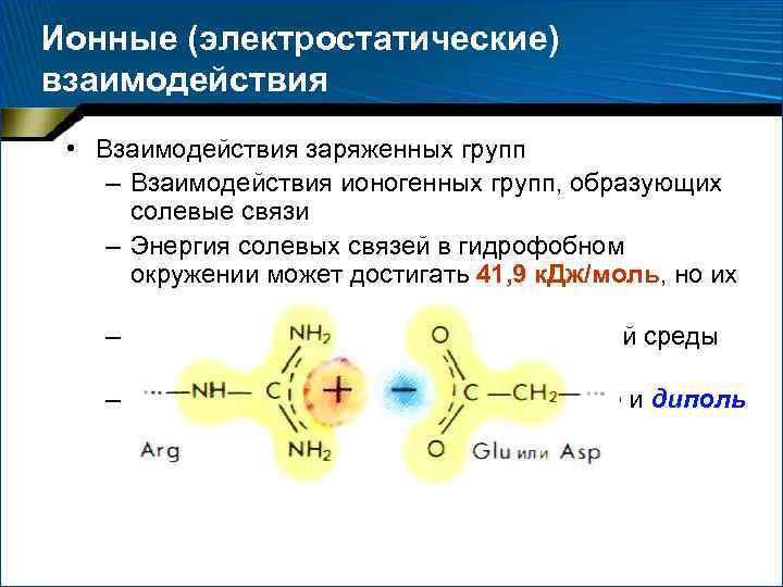 Ионные (электростатические) взаимодействия • Взаимодействия заряженных групп – Взаимодействия ионогенных групп, образующих солевые связи