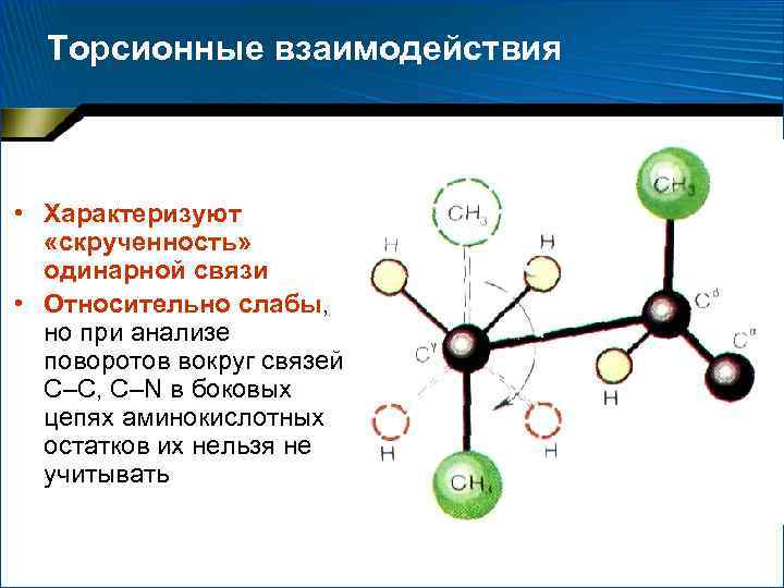 Торсионные взаимодействия • Характеризуют «скрученность» одинарной связи • Относительно слабы, но при анализе поворотов