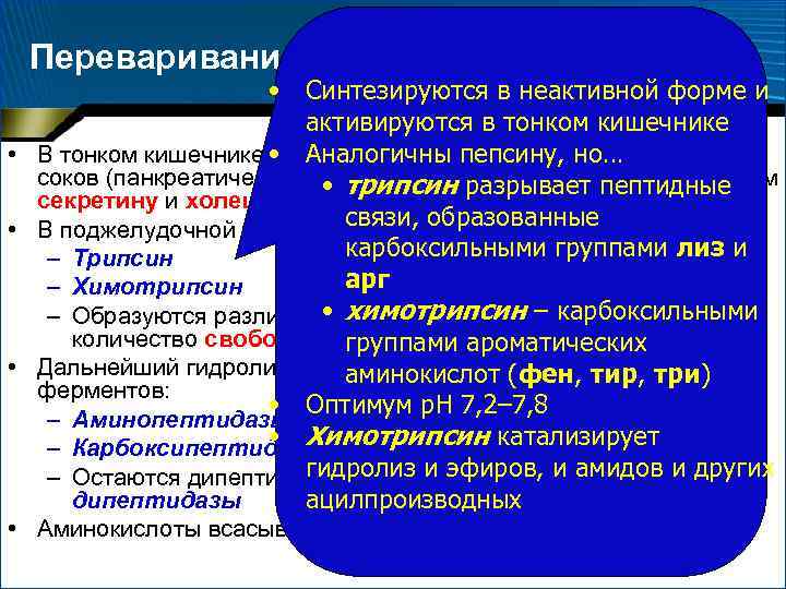 Переваривание белков в кишечнике • Синтезируются в неактивной форме и активируются в тонком кишечнике