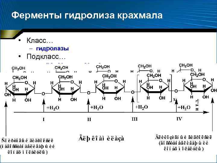 Гидролиз крахмала