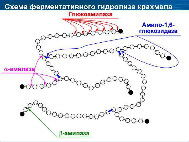 Схема кислотного гидролиза крахмала