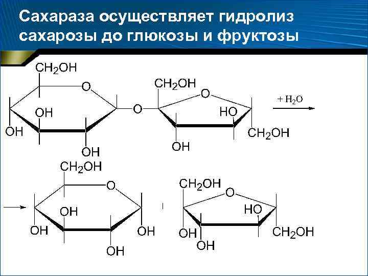 При гидролизе фруктозы образуется. Схема реакции гидролиза сахарозы.