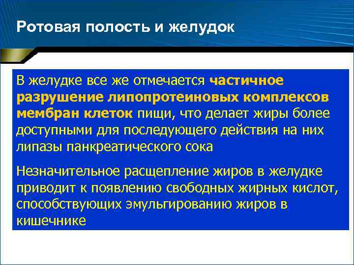 Ротовая полость и желудок В желудке все же отмечается частичное • В слюне нет