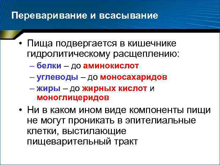 Всасывание аминокислот и простых углеводов. Переваривание и всасывание пищи. Переваривание белков в кишечнике. Расщепление веществ в кишечнике. Всасывание переваренной пищи..