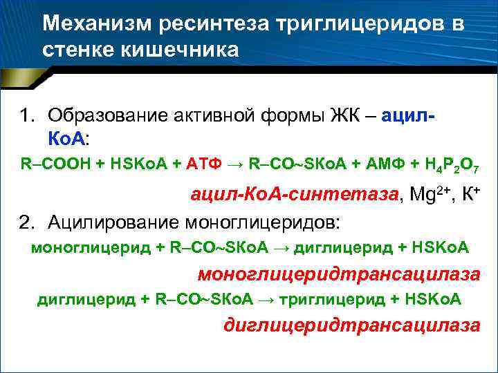 Активно протекающим. Ресинтез триглицеридов в кишечной стенке. Ресинтез липидов биохимия. Ресинтез триглицеридов в стенке кишечника. Ресинтез таг в стенке кишечника.