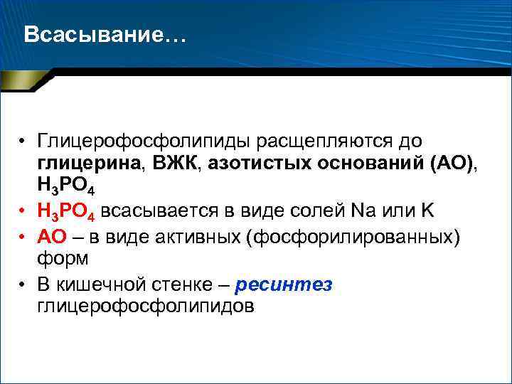 Всасывание… • Глицерофосфолипиды расщепляются до глицерина, ВЖК, азотистых оснований (АО), Н 3 РО 4