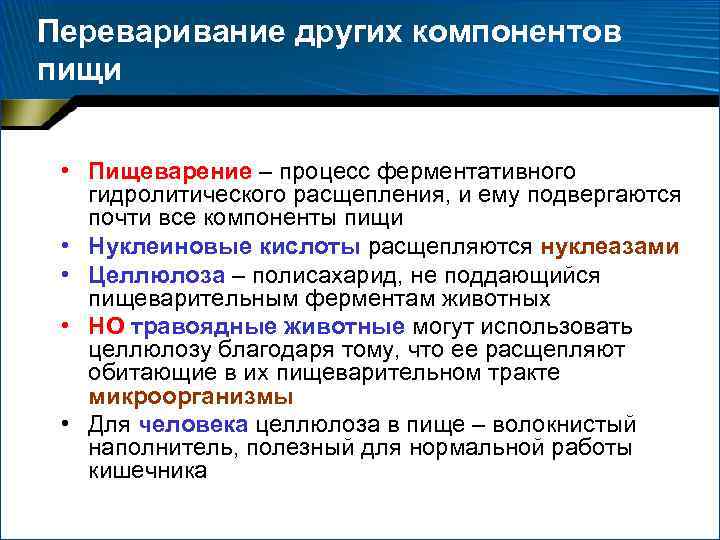 Переваривание других компонентов пищи • Пищеварение – процесс ферментативного гидролитического расщепления, и ему подвергаются