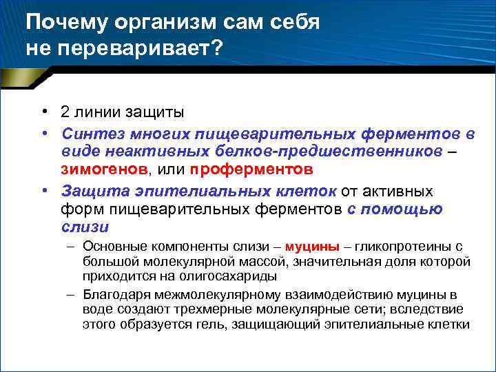 Почему организм сам себя не переваривает? • 2 линии защиты • Синтез многих пищеварительных