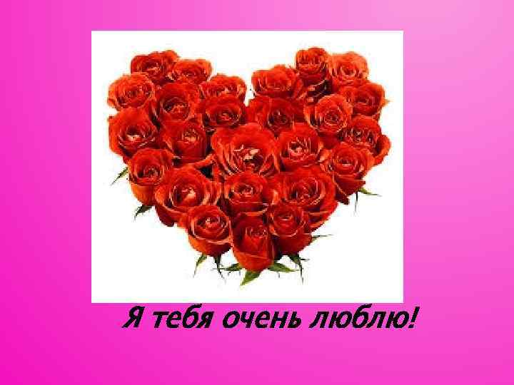 Я тебя очень люблю! 