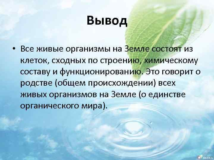 Вывод • Все живые организмы на Земле состоят из клеток, сходных по строению, химическому