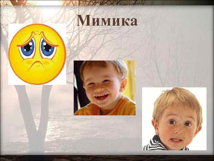 Мимика 