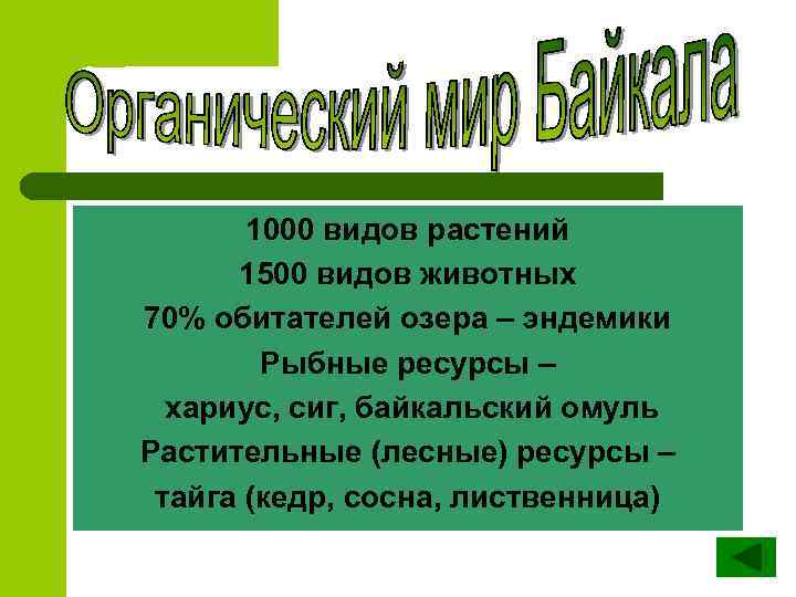 1000 видов растений 1500 видов животных 70% обитателей озера – эндемики Рыбные ресурсы –