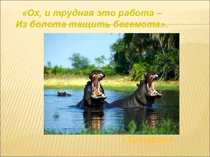  «Ох, и трудная это работа – Из болота тащить бегемота» . «Телефон» 