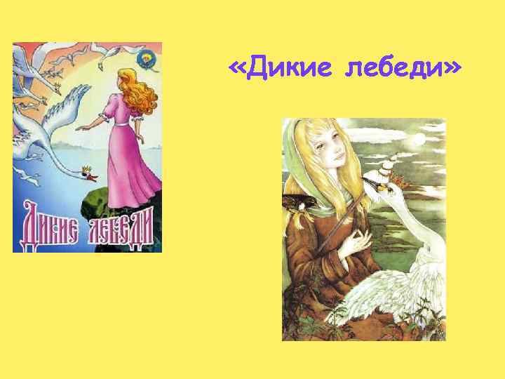  «Дикие лебеди» 