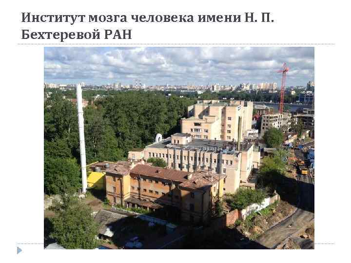 Институт мозга человека имени Н. П. Бехтеревой РАН 