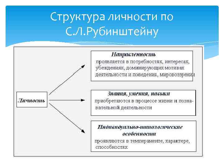 Структура личности по С. Л. Рубинштейну 