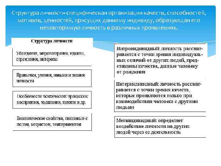 Структура личности-специфическая организация качеств, способностей, мотивов, ценностей, присущих данному индивиду, образующая его неповторимую личность