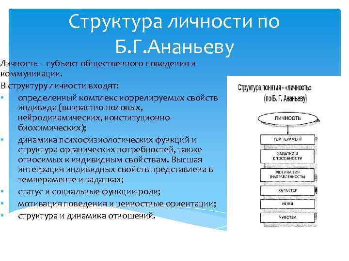 Структура личности по Б. Г. Ананьеву Личность – субъект общественного поведения и коммуникации. В